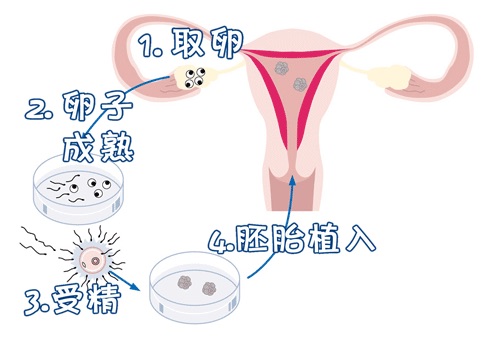 清砚堂中医馆